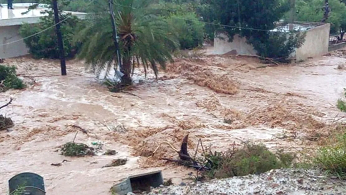 yagislar-adalarda-sele-yol-acti