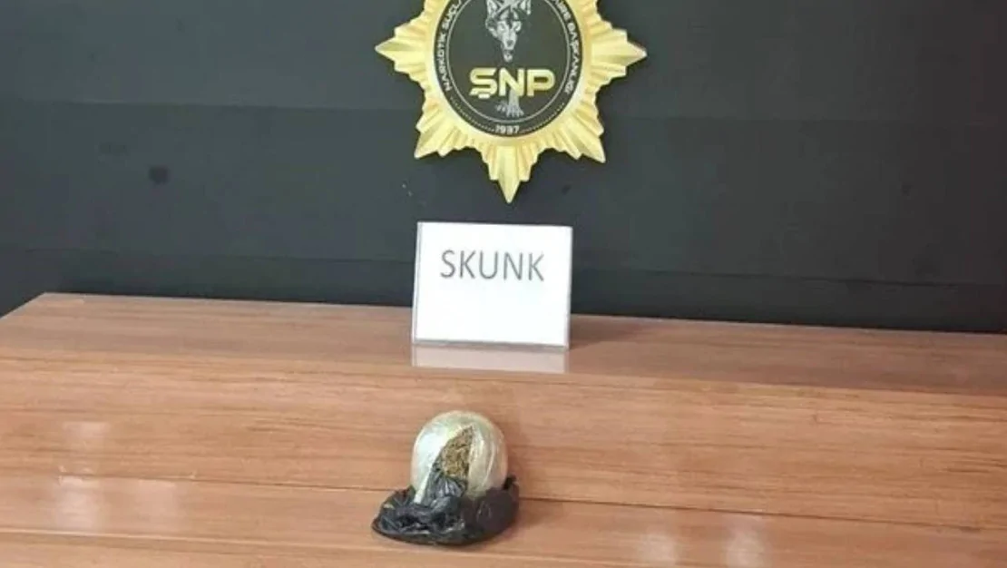 otobuste-yolcunun-cantasinda-uyusturucu-bulundu