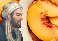 ibn-i-sina-nin-seftali-sirri-aciklandi