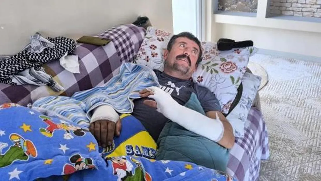 cobani-domuz-saldirisindan-kopekleri-kurtardi