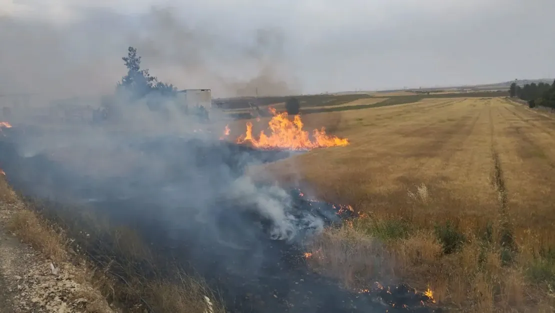 bozova-da-orman-yangini-cikti