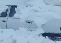 sinan-ozdemir-in-zorlu-yolculugu-yaban-hayvanlari-icin