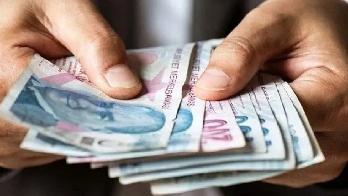 en-yuksek-meslek-kazanci-aciklandi-aylik-net-456-000-lira