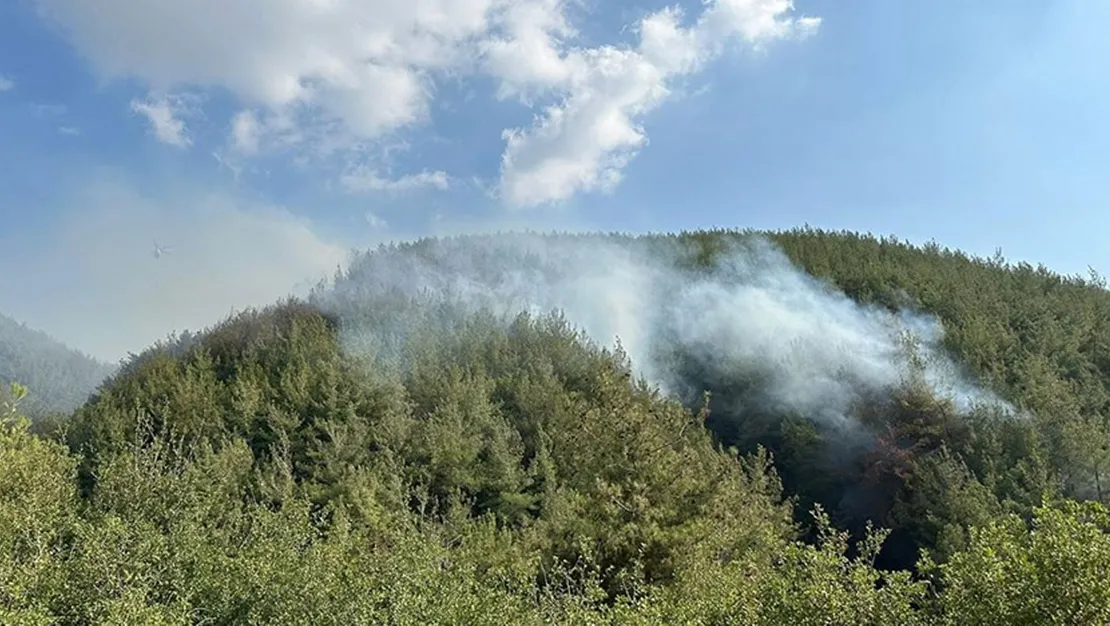 osmaniye-deki-ormanlara-giris-yasaklandi