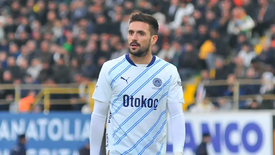 dusan-tadic-ten-elestiriler-hakkinda-aciklama