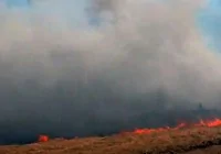 mardin-de-yanginda-1000-donum-bugday-yandi