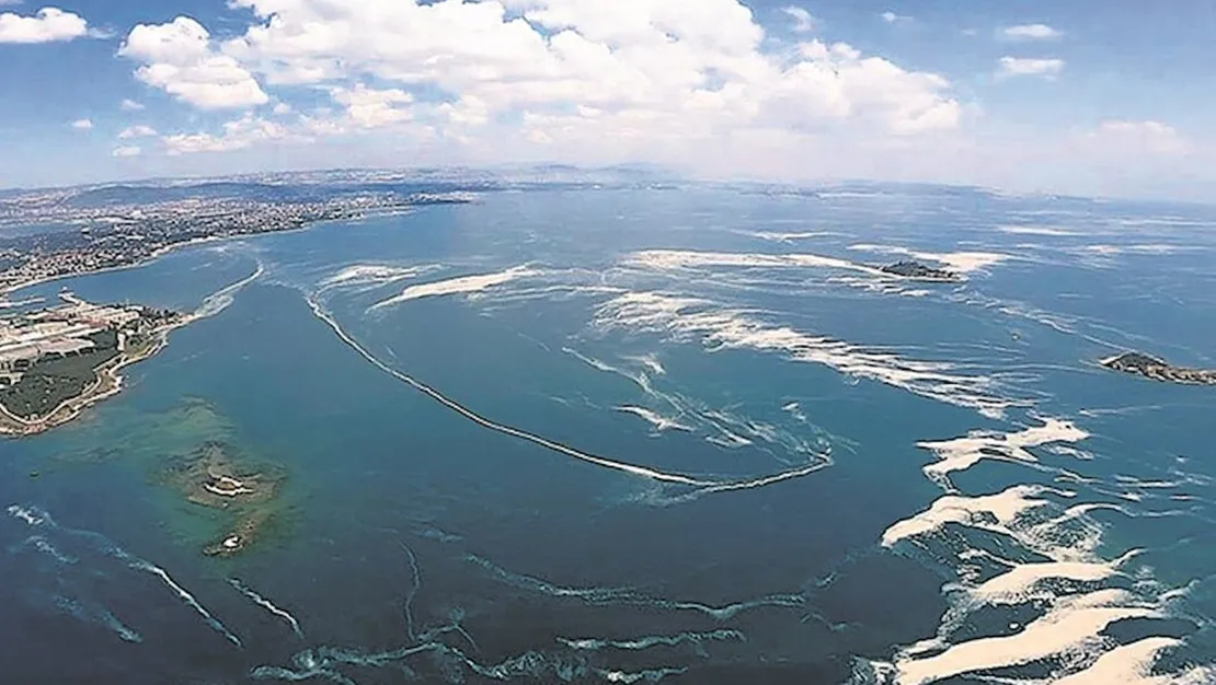musilaj-marmara-da-tekrar-ortaya-cikti