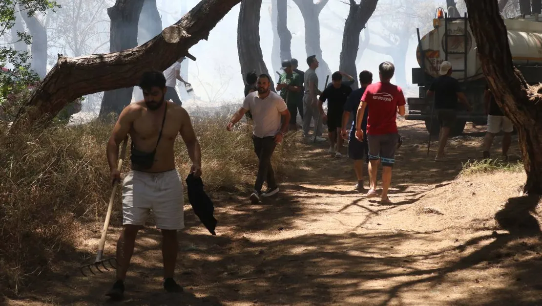 mikdat-kadioglu-ndan-ohal-onerisi-ormanlar-yasaklanmali