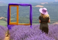 lavanta-tarlasi-ziyaretcileri-agirliyor