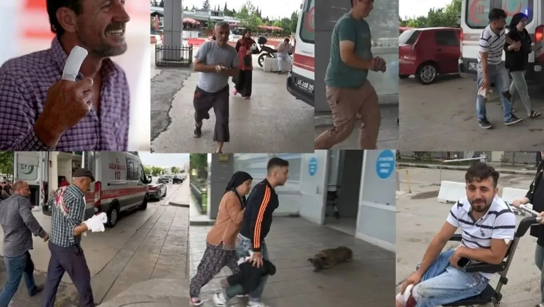 kurban-kesimi-sirasinda-yaralanma-olaylari