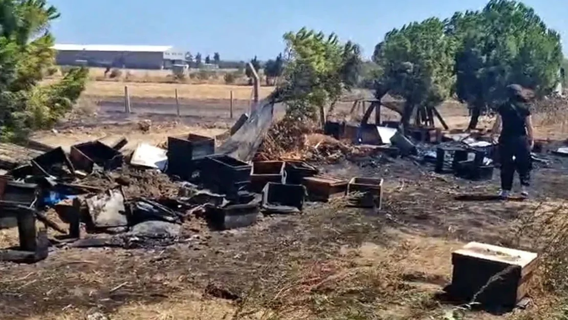 tekirdag-daki-yanginda-ari-kovanlari-zarar-gordu