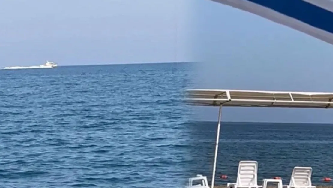 sahilde-kopek-baligi-ihbari-plaj-bosaldi