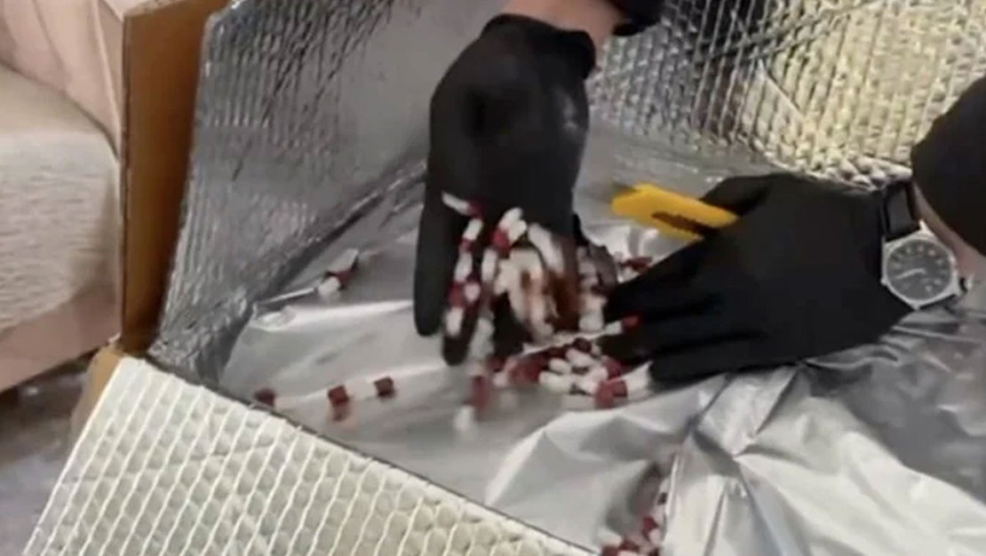 istanbul-da-uyusturucu-operasyonuyla-5-supheli-yakalandi