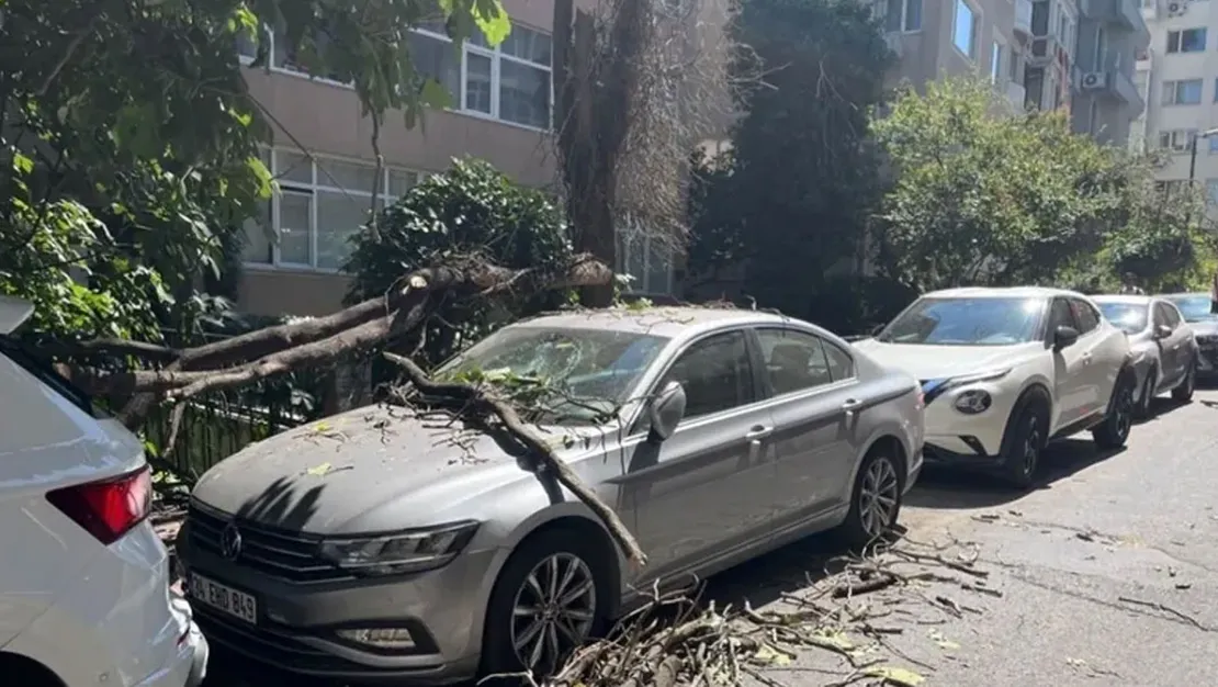 istanbul-da-agac-dali-arac-uzerine-dustu