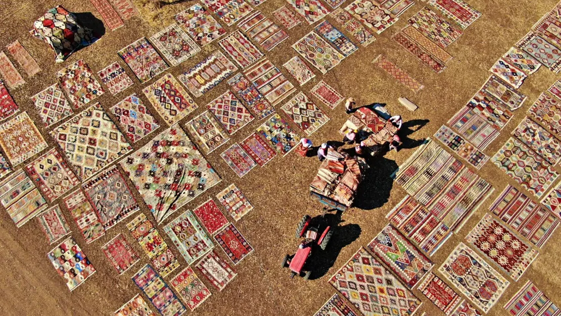 antalya-da-hasat-zamani-halilar-toplaniyor