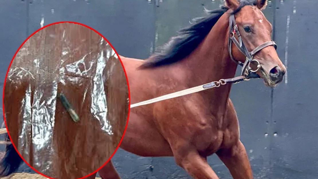 mersin-belediyesi-asevinde-sok-skandal-meydana-geldi