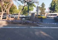 besiktas-ta-yaya-uzerine-agac-devrildi