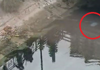 adana-da-sulama-kanalinda-bos-valiz-bulundu