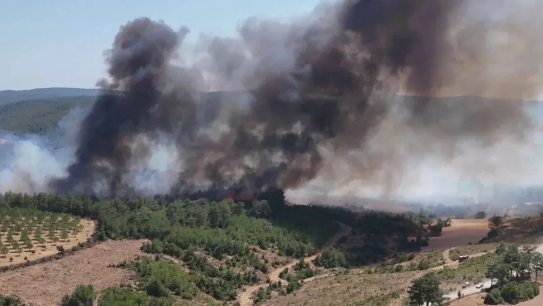 canakkale-orman-yangini-kontrol-altinda