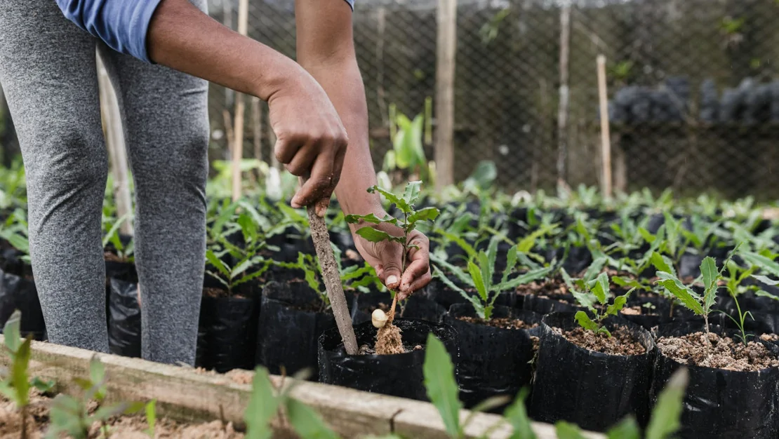 genc-ciftciye-tesvik-paketi-geliyor
