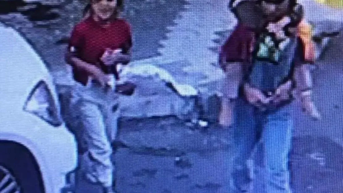 6-yasindaki-sirin-k-git-toplayicisi-tarafindan-olduruldu