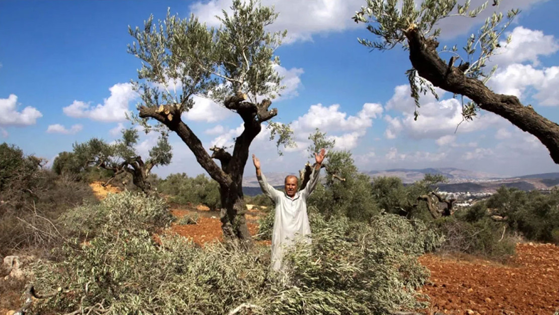 israil-ordusu-bati-seria-da-tarim-alanlarini-hedef-aliyor
