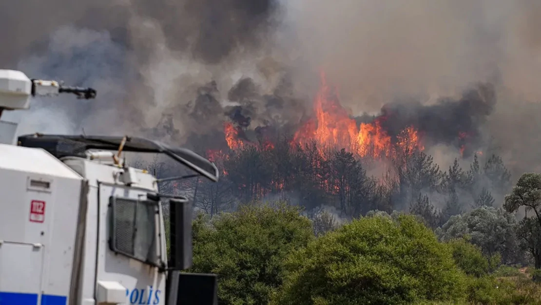 izmir-de-orman-yangini-cikti