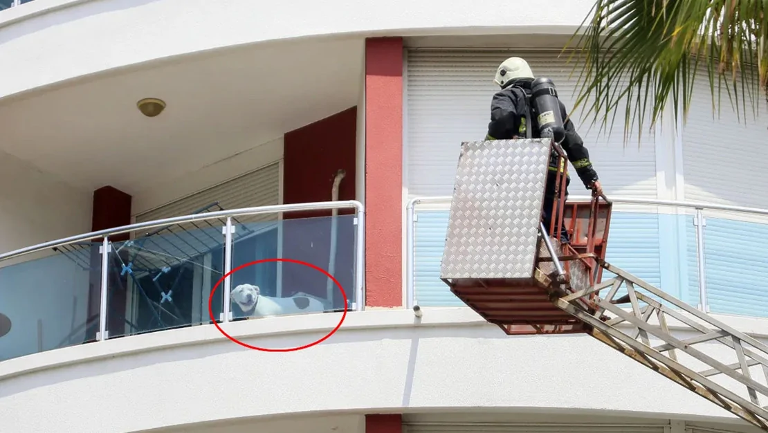 yangin-antalya-da-sitede-korku-yaratti