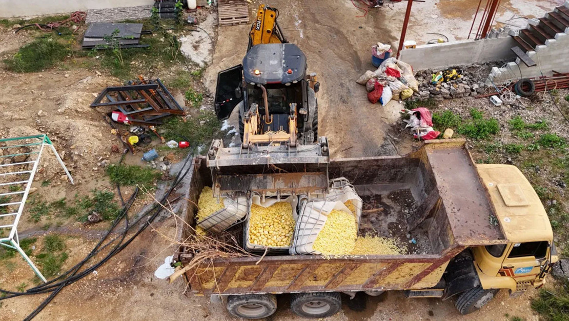 aksu-da-sagliksiz-patates-uretimi-incelendi