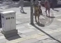 ofkeli-surucu-yasli-kadini-yumrukladi