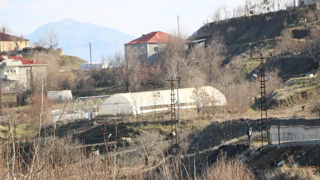 derecik-te-seracilikta-780-ton-urun-yetistirildi