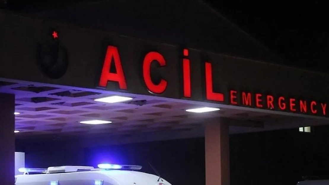 tir-soforu-elektrik-akimina-kapildi-oldu