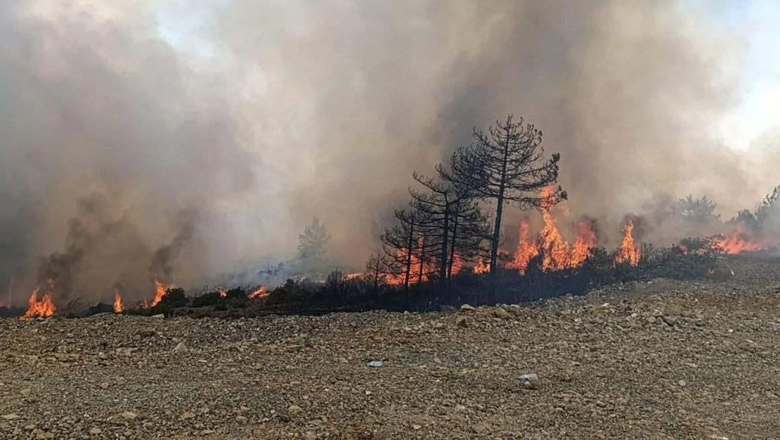 bursa-da-yangin-icin-4-gozalti