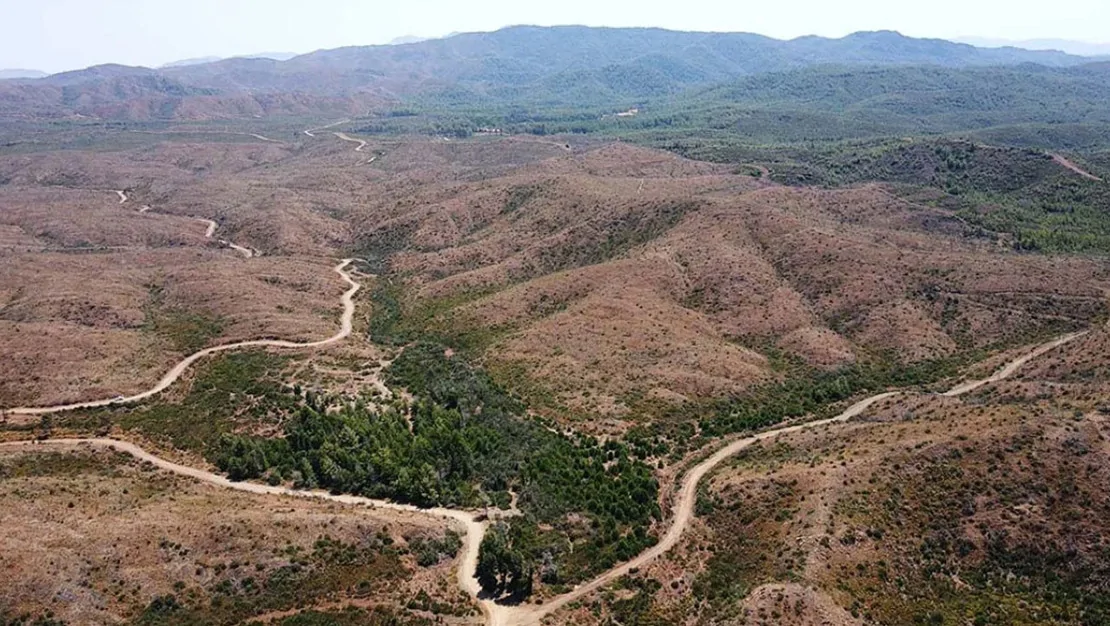 marmaris-te-ormanlar-yeniden-canlaniyor