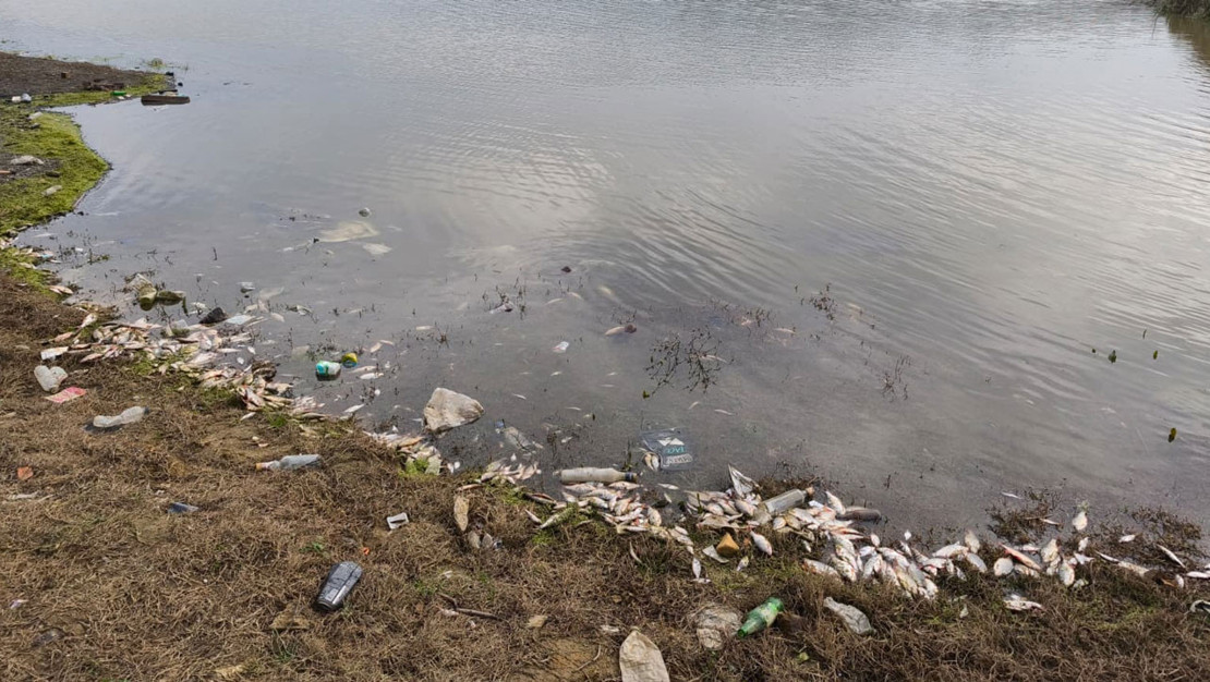 sahintepe-deki-varan-goleti-nde-yosun-patlamasi-yasandi