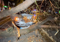 edirne-de-seyir-halindeki-arac-uzerine-agac-devrildi