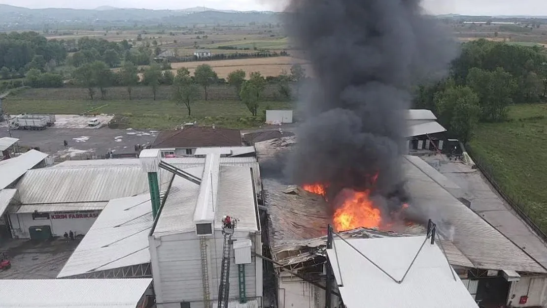 sakarya-daki-findik-fabrikasinda-yangin-cikti