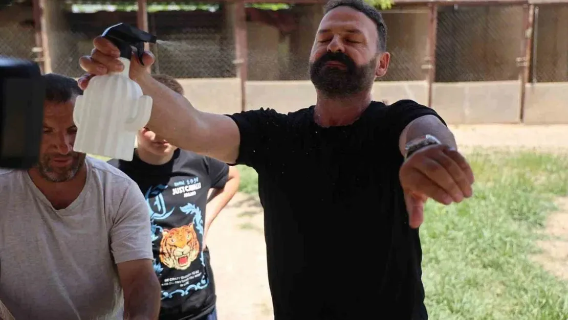 kene-uzaklastiran-dogal-sprey-yapin