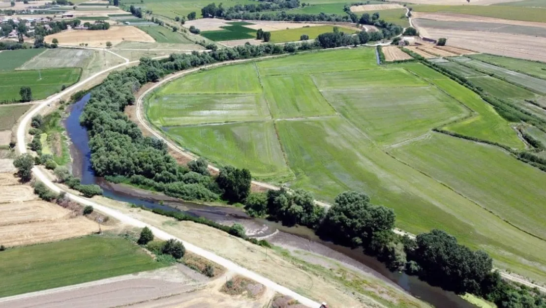 edirne-de-celtik-ureticisinde-kuraklik-endisesi