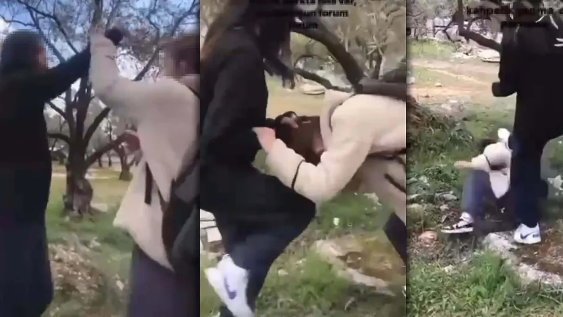 r-s-d-d-yi-darp-etti-sikayetci-olundu