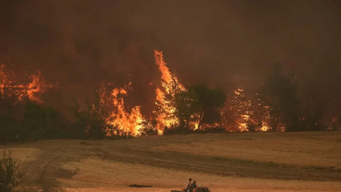 sakarya-daki-yangin-alevler-bilecik-e-ulasti