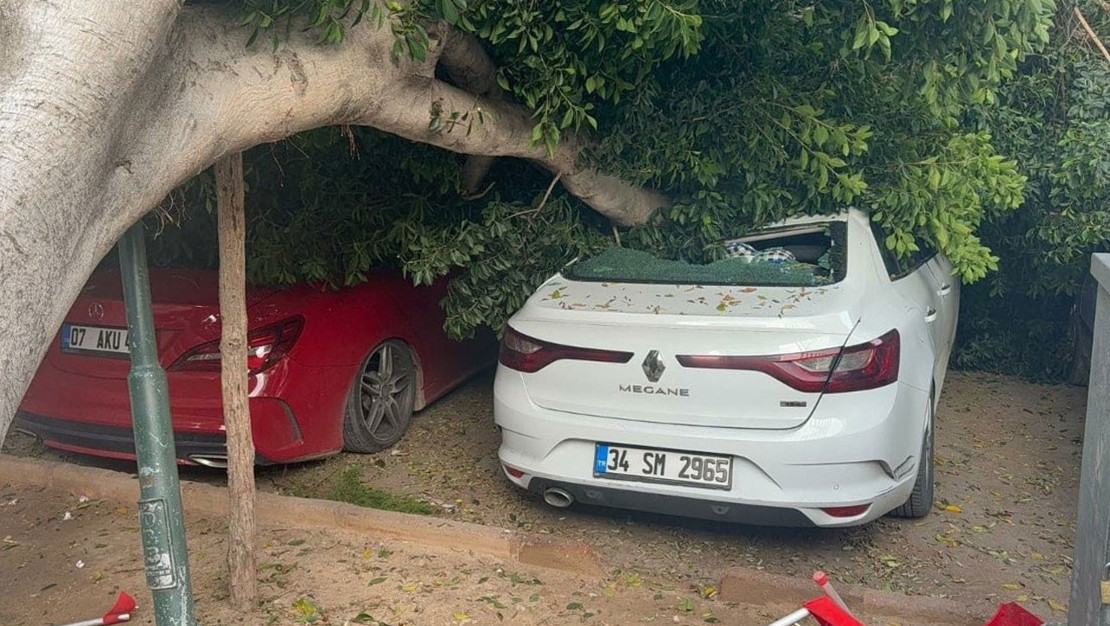 antalya-da-devrilen-agac-5-otomobile-zarar-verdi
