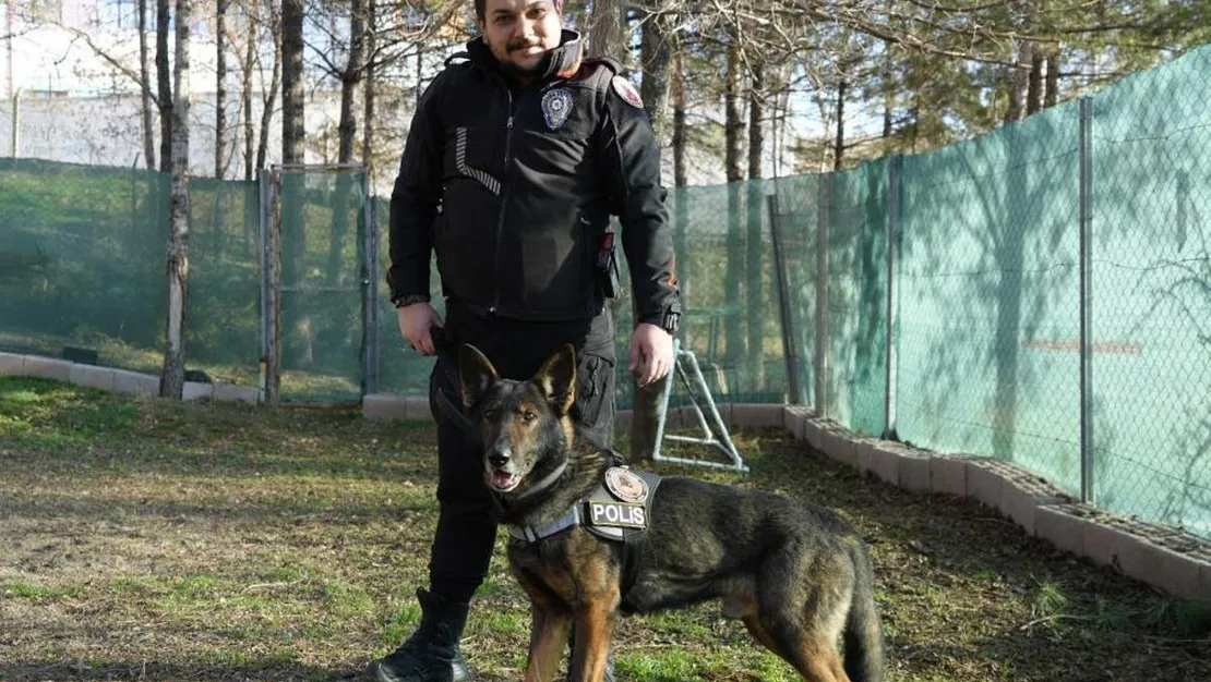 dedektor-kopekler-adam-ve-yuri-gorev-basinda