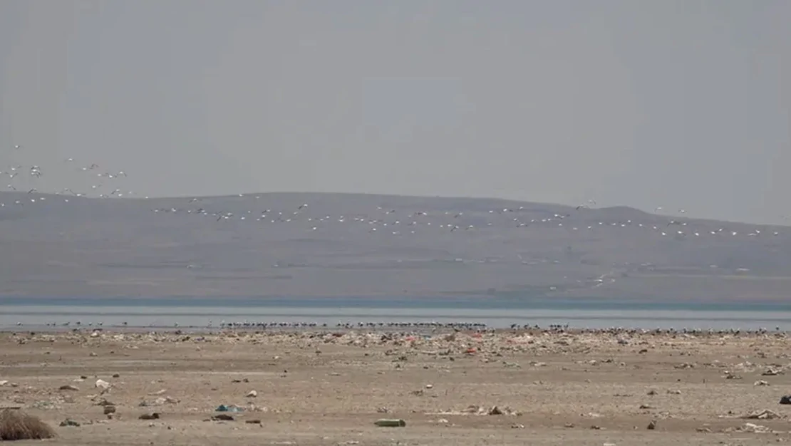 van-golu-nde-kuslar-goruluyor