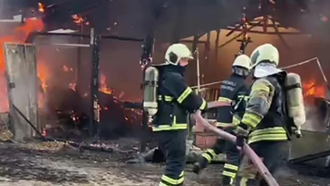 elektrik-kontagindan-cikan-yangin-samanliga-sicradi