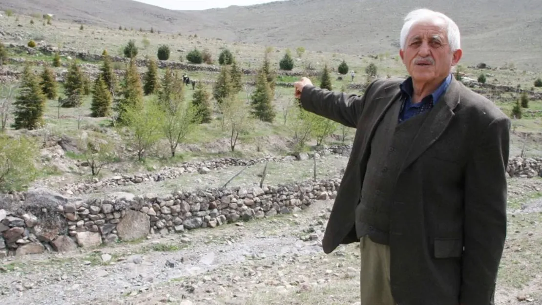 eregli-nin-orman-dede-si-ugurlandi