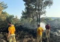 ormanda-mangal-yapan-d-c-tutuklandi