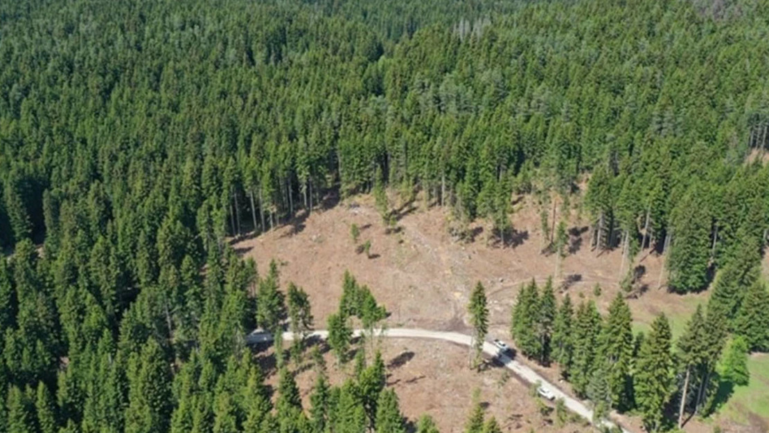 orman-sinirlari-icindeki-mulkiyet-sorununa-cozum-sunuldu