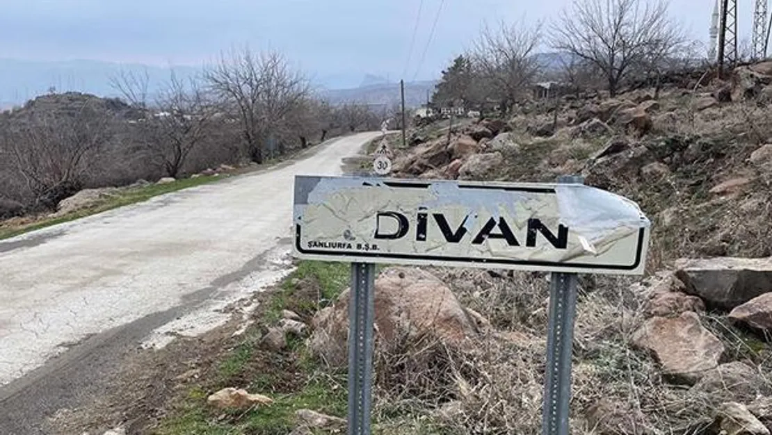 kopek-kuduz-cikti-mahalle-karantinada