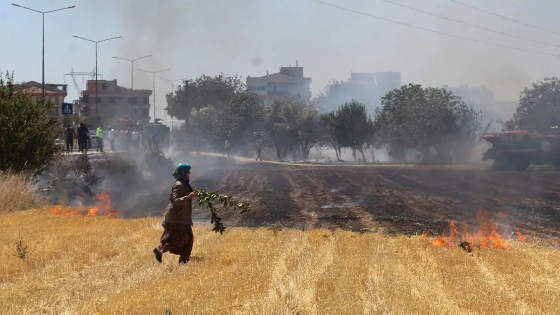 canakkale-otluk-alanda-yangin-cikti